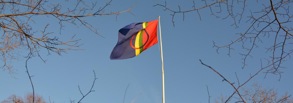 Samisk flagg . Foto